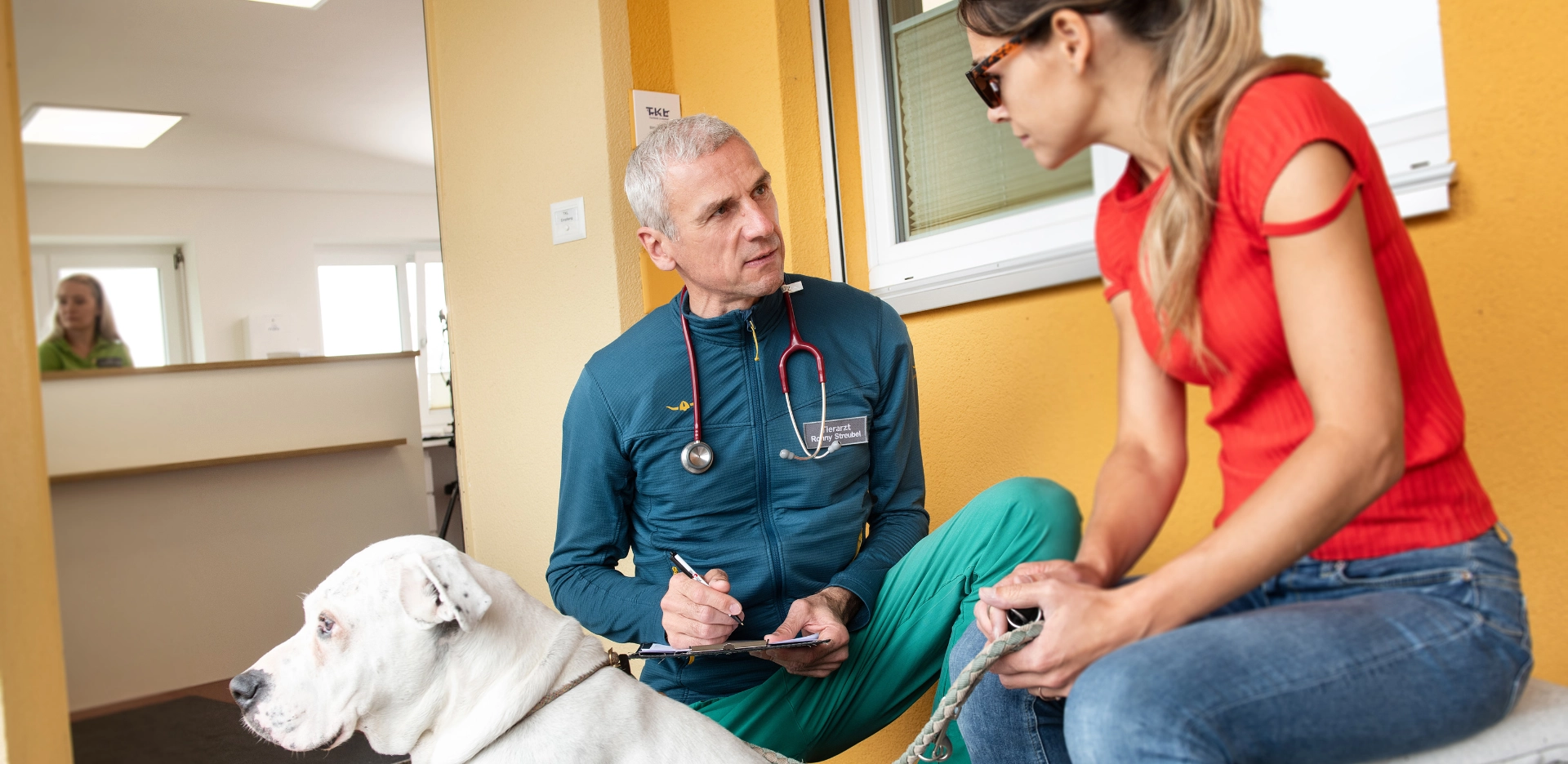 Behandlungen für Kleintiere in der Tierklinik Lindenhof Bischofszell – Mit Herz, Erfahrung und moderner Tiermedizin.