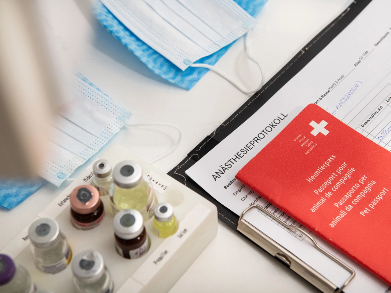 Medikamente, Anästhesieprotokoll und Heimtierpass zur Vorbereitung einer Operation in der Kleintierklinik Lindenhof.