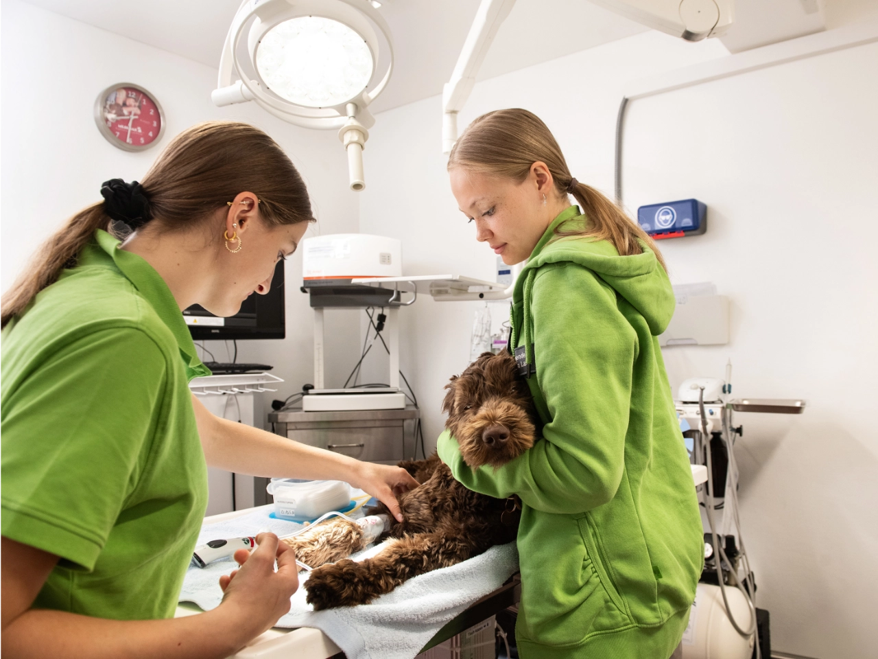 Hund wird in der Kleintierklinik Lindenhof während einer tierärztlichen Untersuchung liebevoll betreut.