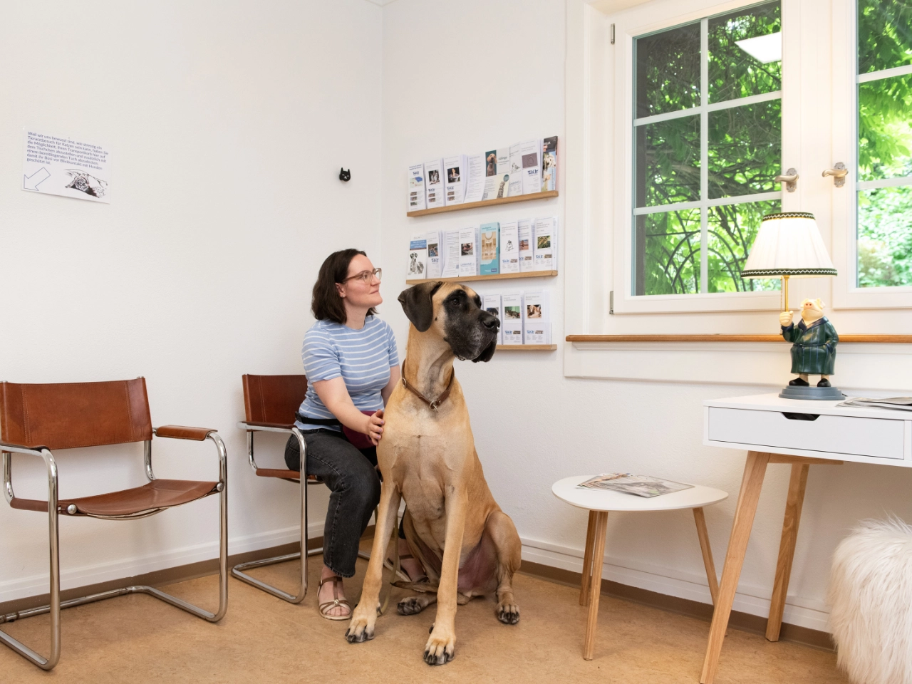 Tierhalterin wartet mit ihrem Hund im freundlichen Wartebereich der Kleintierpraxis Lindenhof in St. Gallen.
