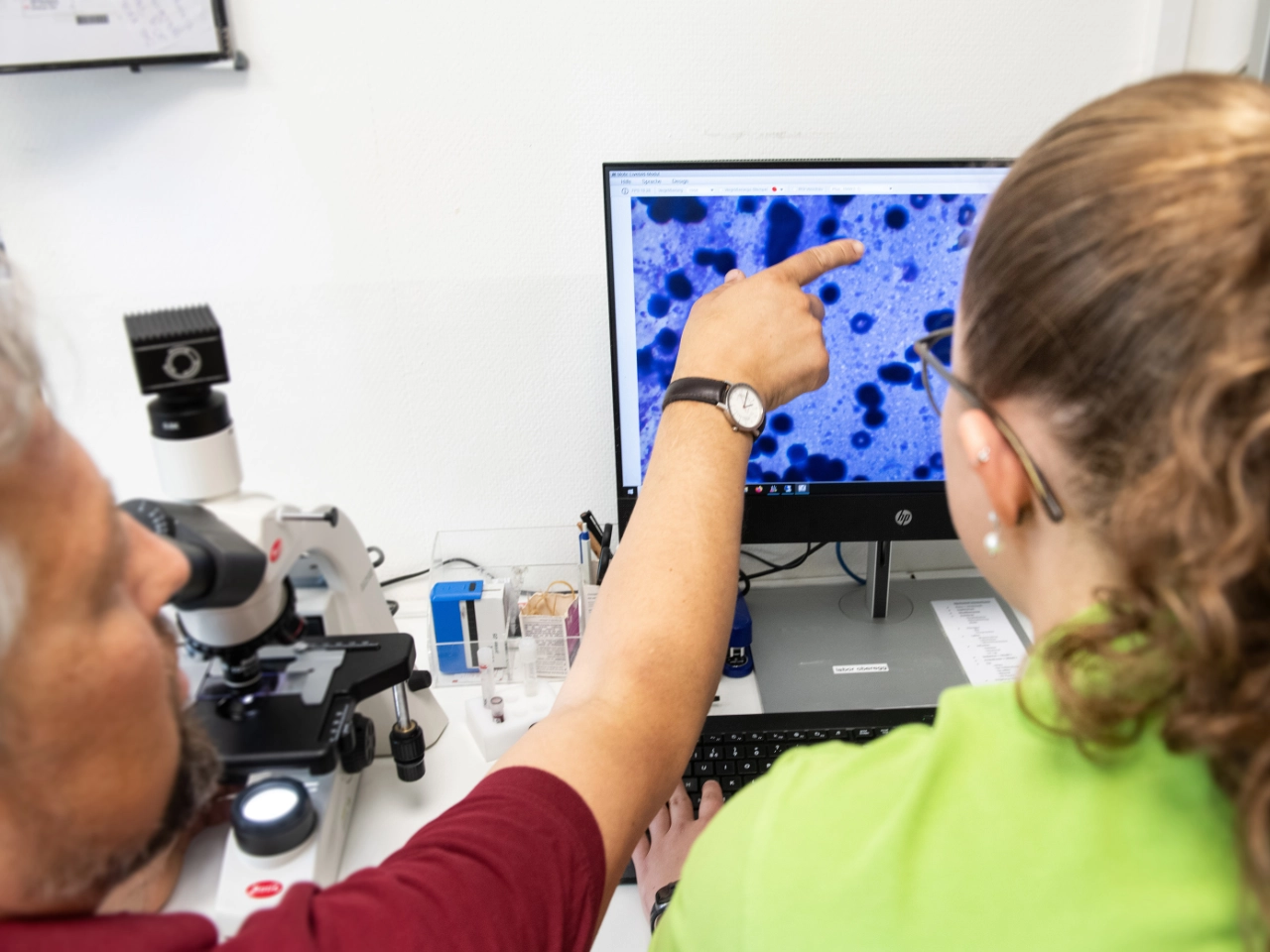 Tierarzt und TPA analysieren mikroskopische Untersuchungsergebnisse am Bildschirm.