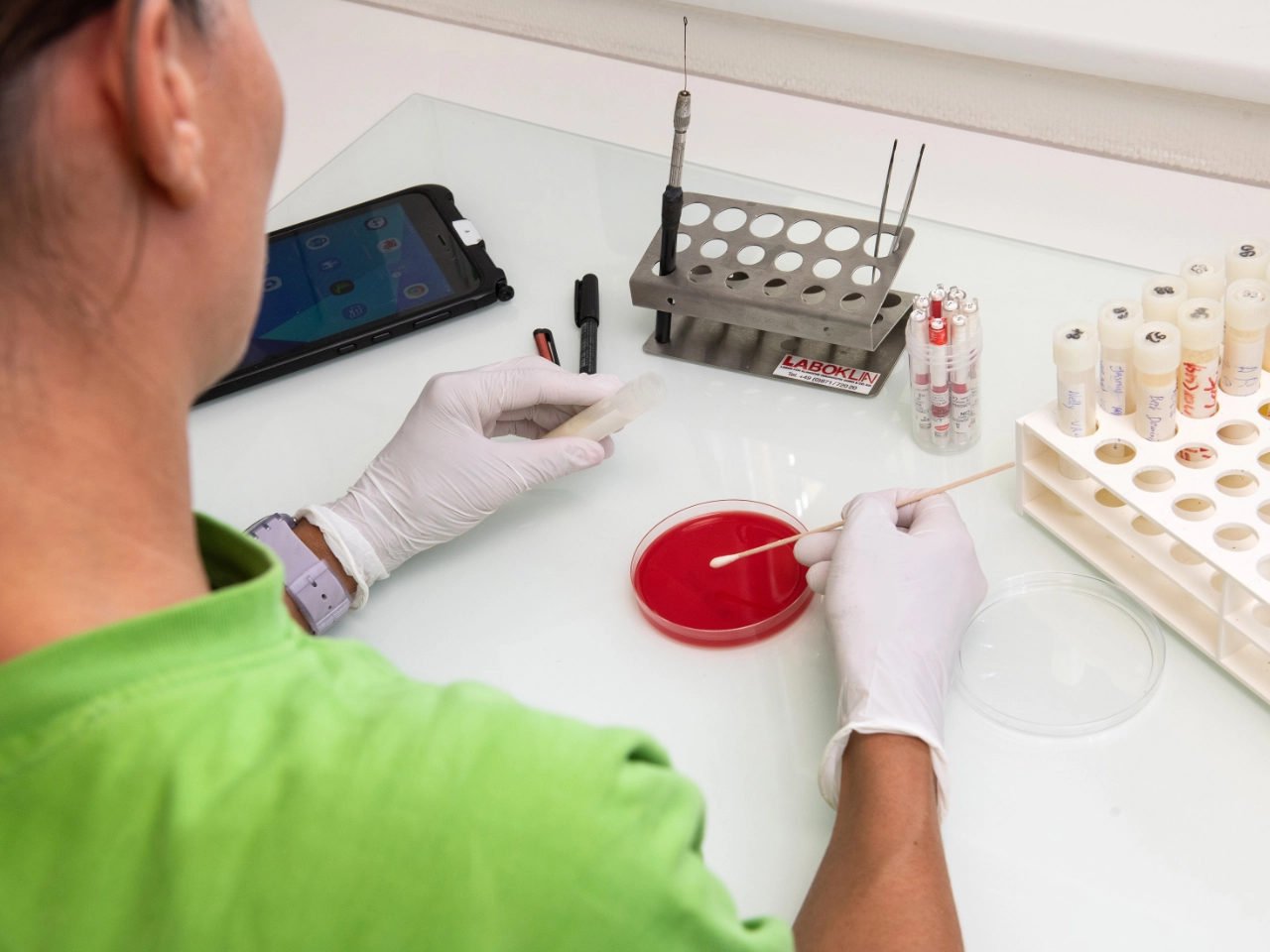 Mikrobiologische Untersuchung von Proben im Labor der Nutztierklinik Lindenhof.
