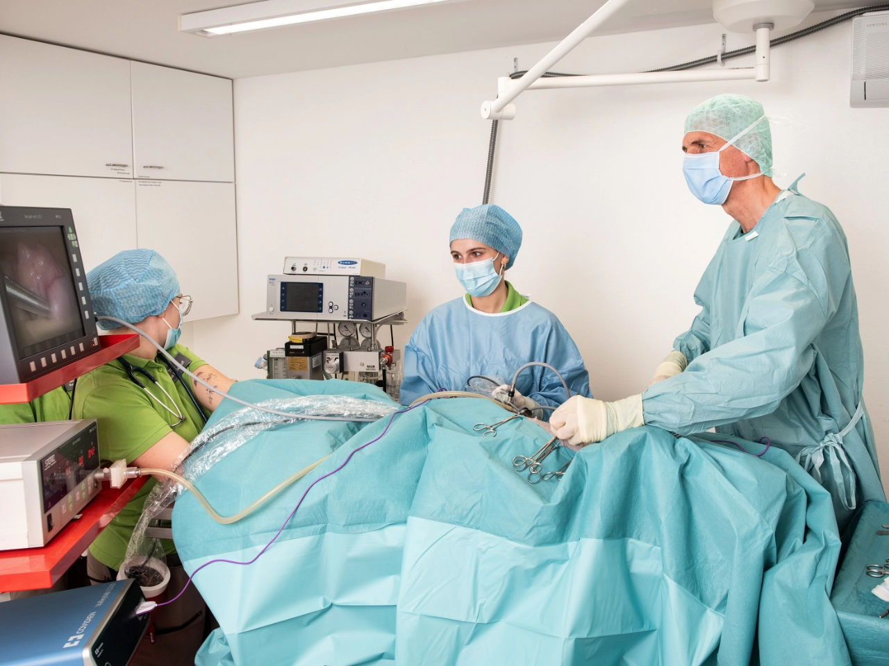 OP-Team führt einen chirurgischen Eingriff im Operationssaal der Kleintierklinik Lindenhof durch.